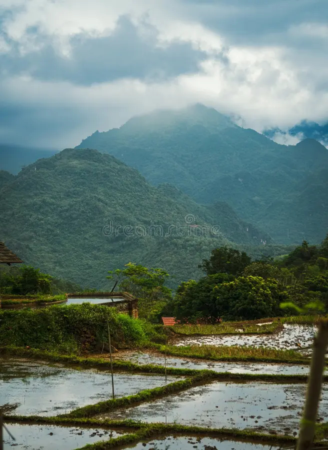 Mai Chau & Pu Luong Explorer: 3-Day Hidden Valley & Waterwheel Trek