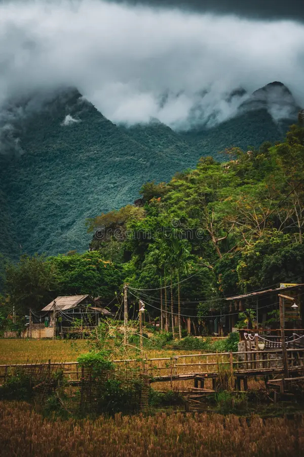 Mai Chau Off-the-Beaten-Path: 1-Day Mountain Trek & Local Village Life