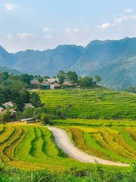 Golden Harvest Season Special – Pu Luong 3 Days