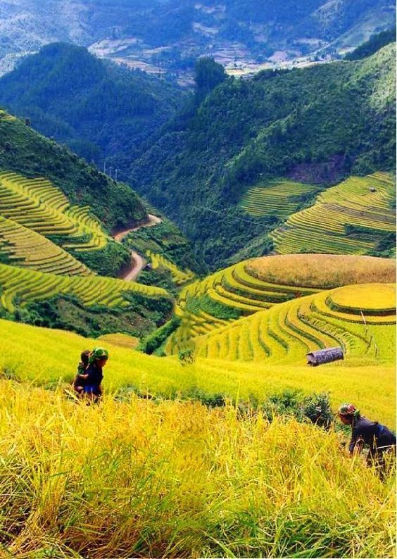 Ethnic Culture Deep Immersion Tour – 3 Days 2 Nights