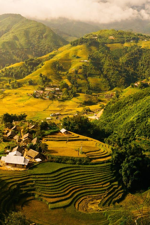 Golden Rice Season Photography Tour in Sapa (3 Days 2 Nights)