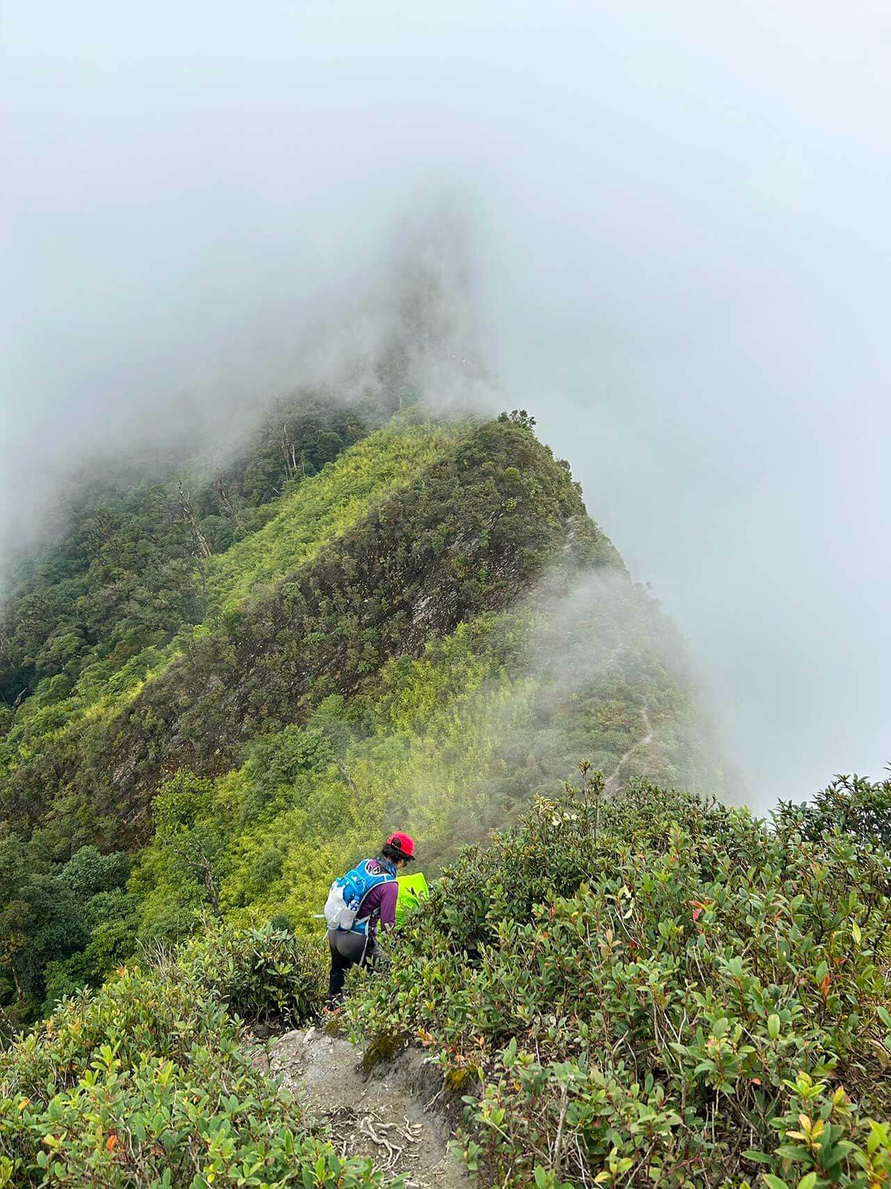 Ta Xua Cloud Hunting & Mu Cang Chai Panorama