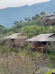 Mu Cang Chai & Tu Le – Private Trekking Experience